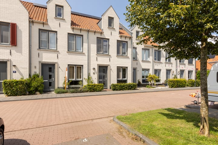 Kolibrie 28 in Schoonhoven foto