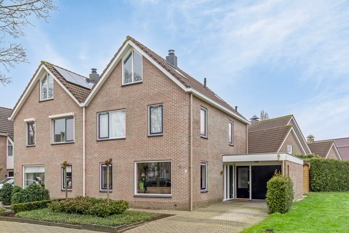 Koolmees 1 in IJsselmuiden foto