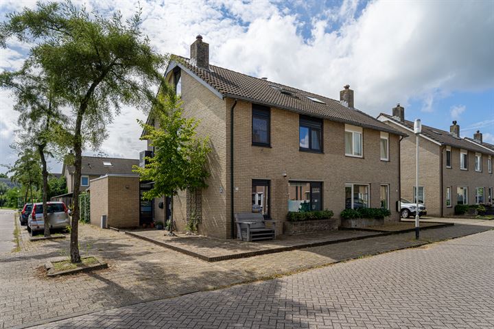 Koolmees 32 in Breda foto