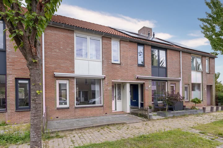 Koolmees 37 in Hoorn foto