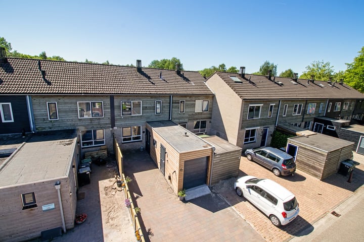 Koolmees 49 in Emmen foto