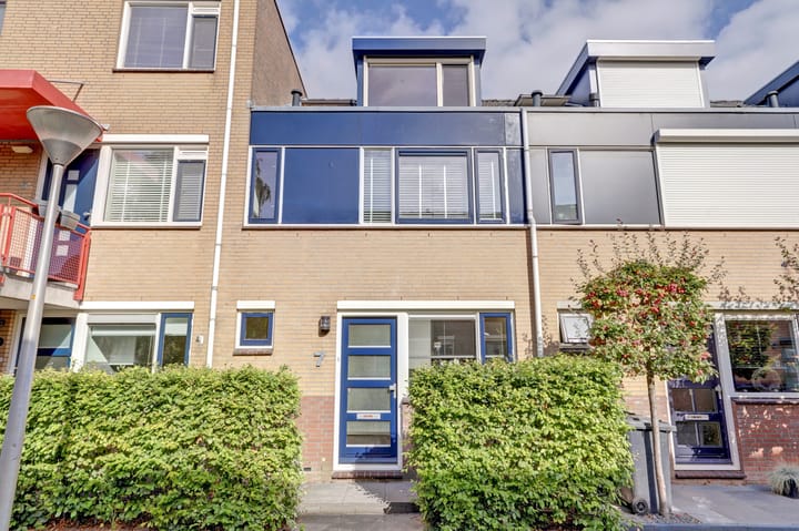 Koolmees 7 in De Lier foto