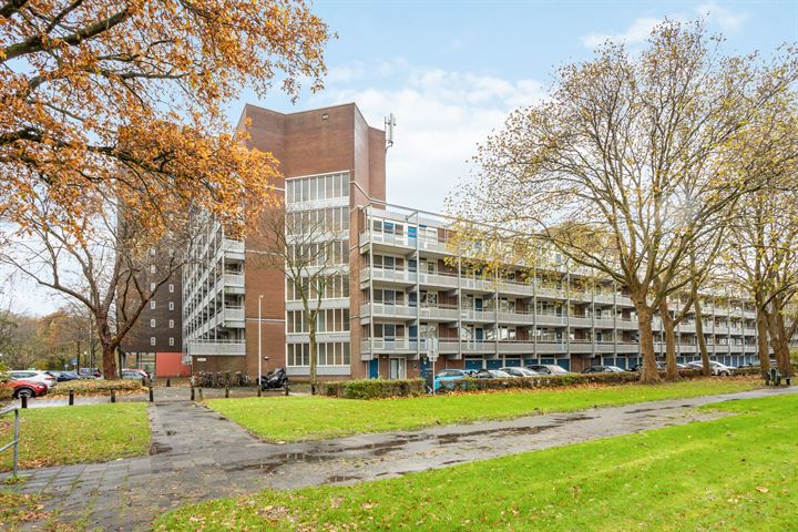 Koolmeesstraat 50 in Leiderdorp foto