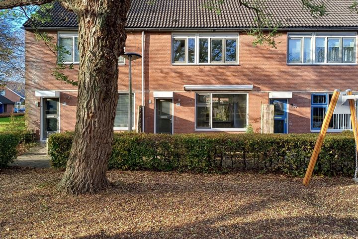 Koolzaadhof 57 in Biddinghuizen foto