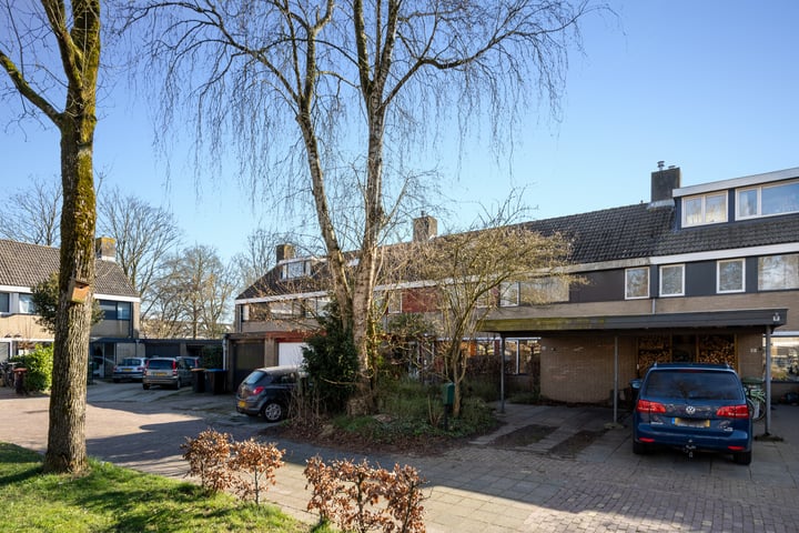 Koolzaadland 20 in Leusden foto