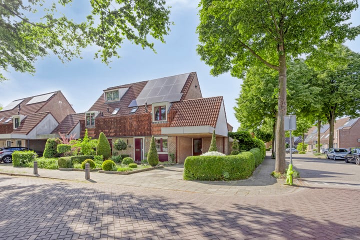 Koolzaadveld 2 in Beuningen Gld foto