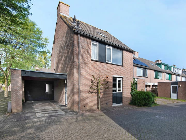 Kopervlinder 1 in Amersfoort foto