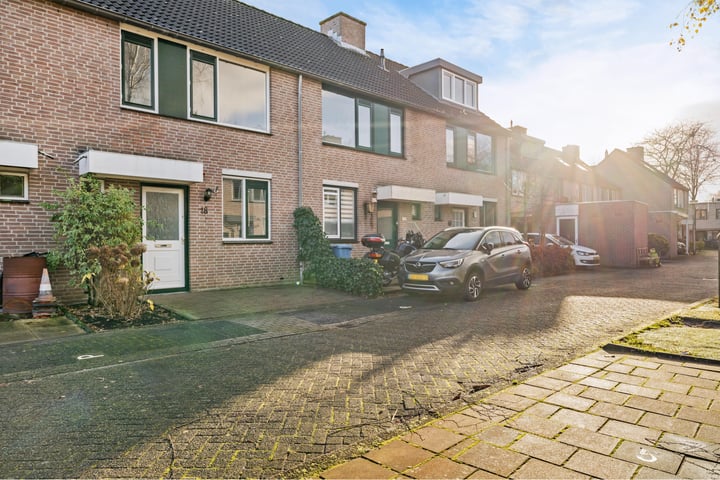 Kopervlinder 18 in Amersfoort foto