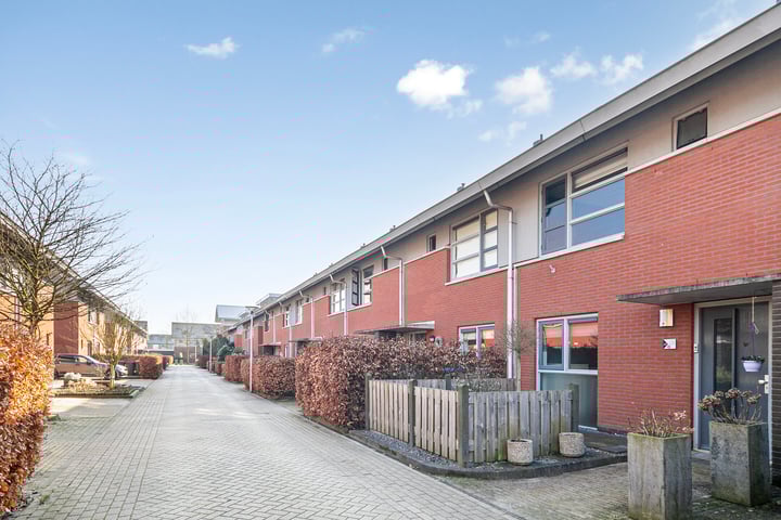 Kopervlinder 23 in Enschede foto