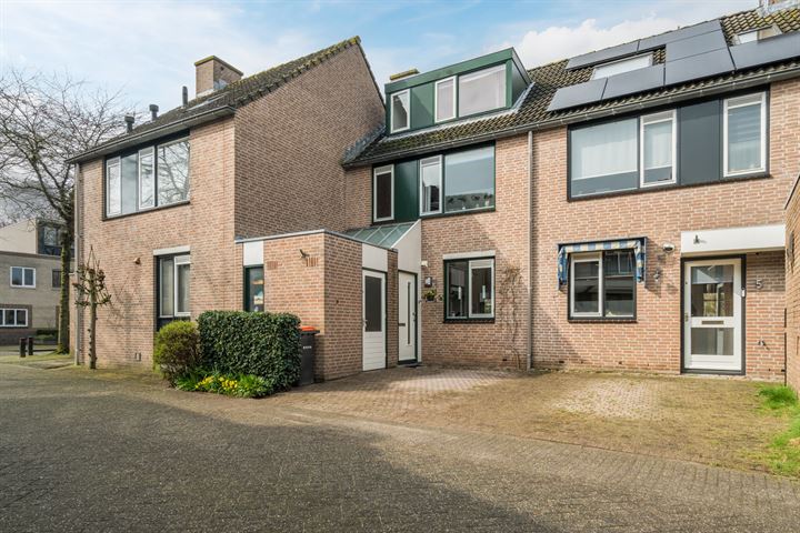 Kopervlinder 3 in Amersfoort foto