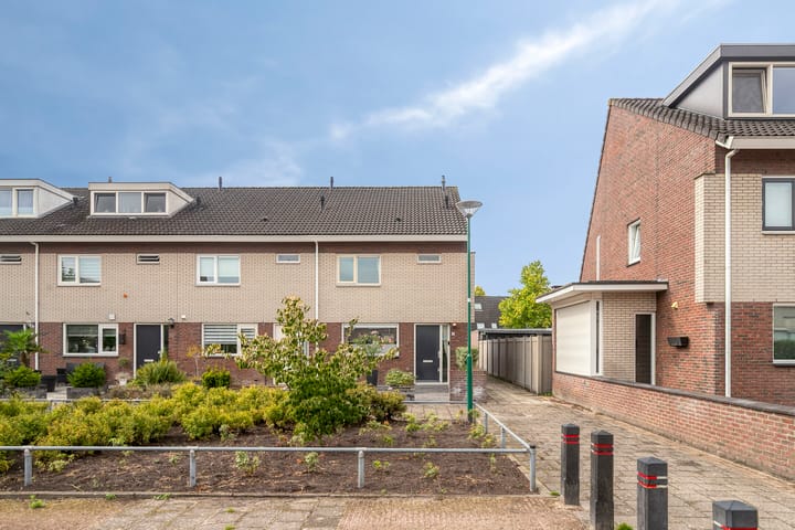 Koraalzwam 14 in Veenendaal foto