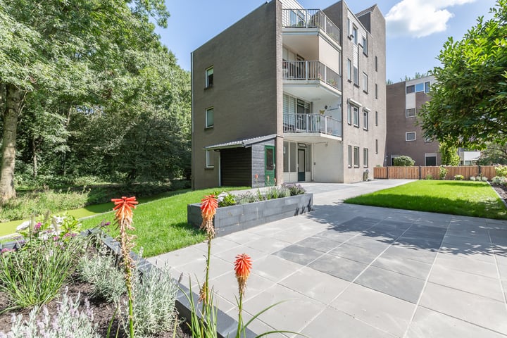 Koraalzwam 157 in Alphen aan den Rijn foto