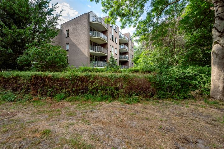 Koraalzwam 187 in Alphen aan den Rijn foto