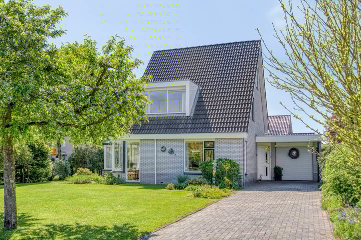Korenbloem 1 in Gieten foto