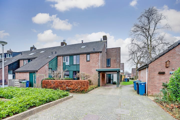 Korenmolen 26 in Vianen foto