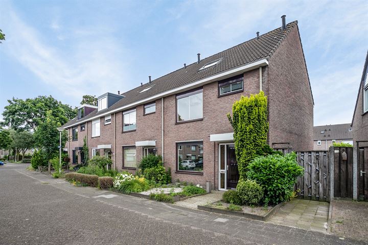 Kraanvogel 18 in Deurne foto