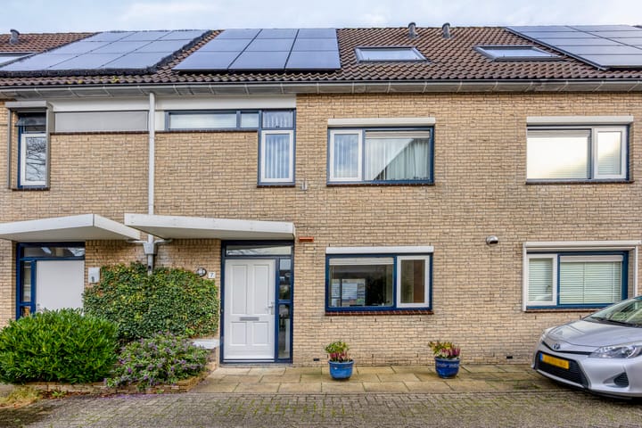 Kroeskarper 7 in Leiden