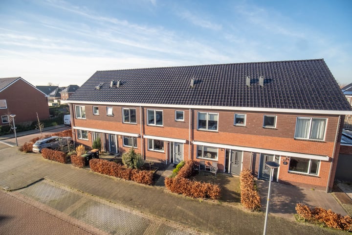 Krokus 5 in Andijk foto