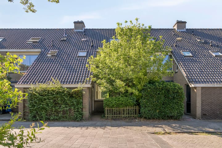 Kruipbrem 53 in Rotterdam foto