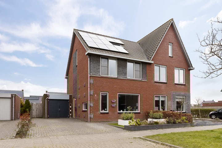Kuifeend 17 in Bedum
