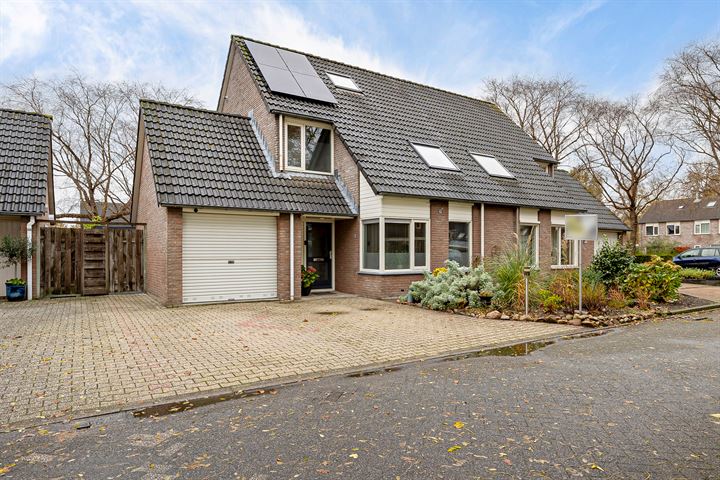 Kuifeend 28 in Emmen foto