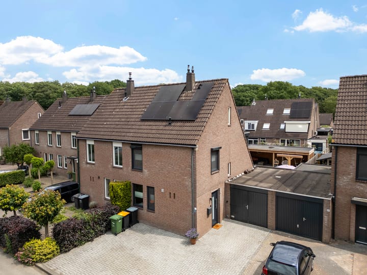 Kuifmees 38 in Emmen foto