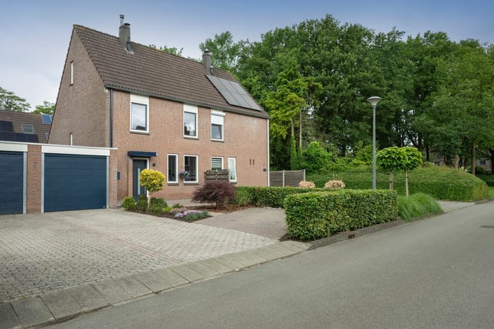 Kuifmees 87 in Emmen foto