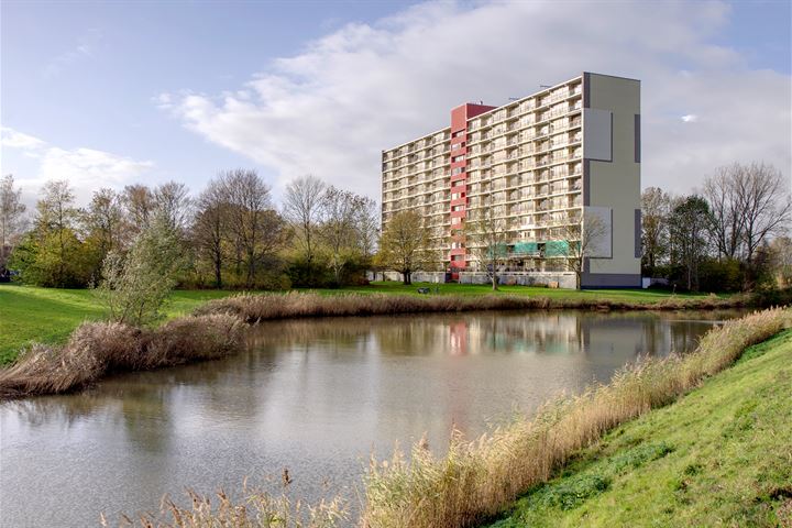 Kustweg 247 in Delfzijl foto