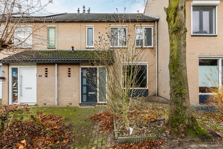 Kwarteldonk 16 in Veghel foto
