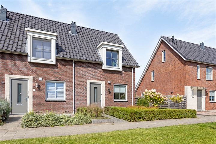 Kwartelkoning 6 in Bruchem foto