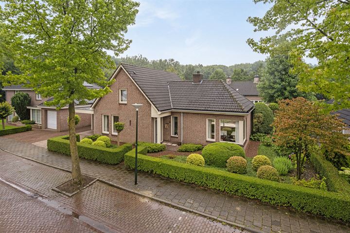 Kwikstaart 16 in Sint-Oedenrode foto