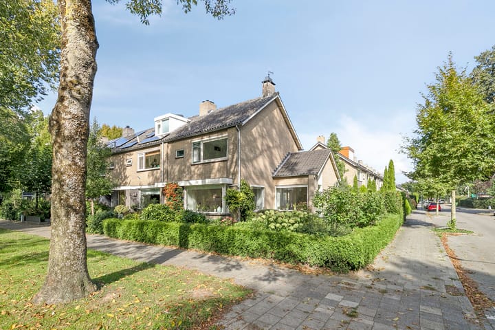 Laan 1954 16 in De Meern