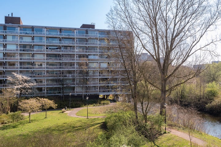 Laan van Parijs 204 in Haarlem foto
