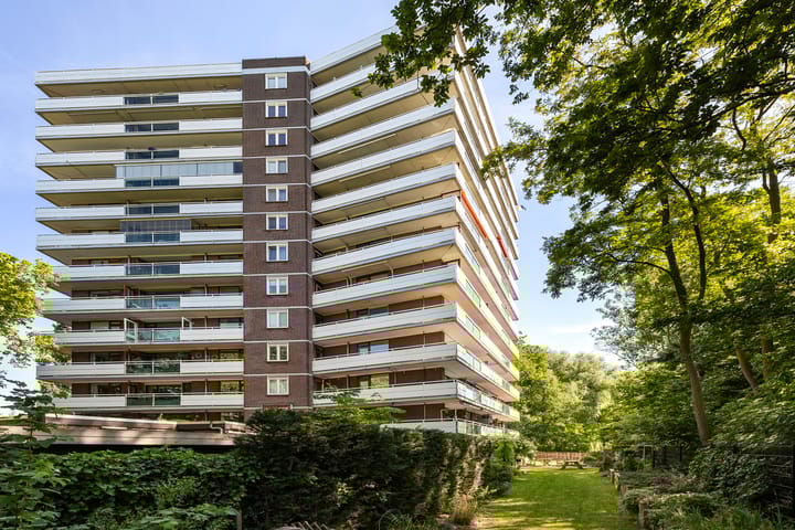 Foto van woning Laan van Spieringshoek 45, Schiedam