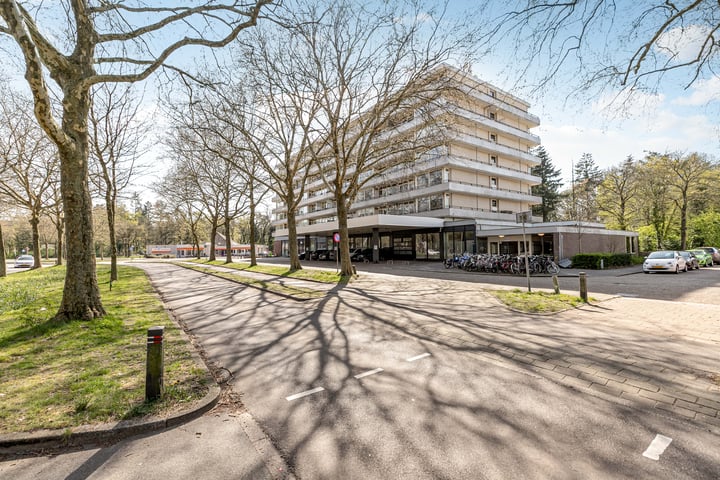 Laan van Vollenhove 902 in Zeist foto