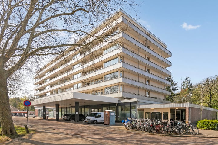Laan van Vollenhove 946 in Zeist