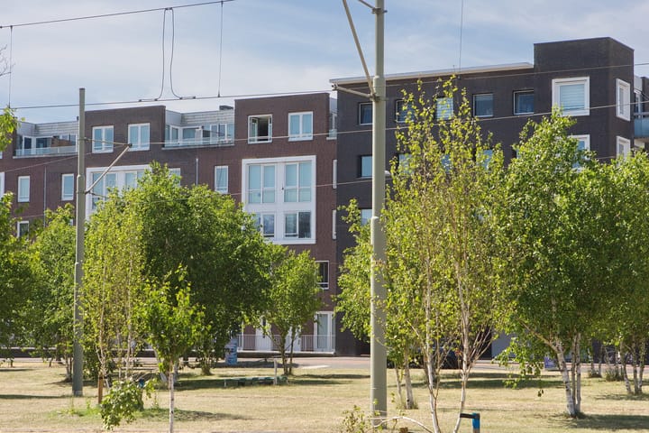 Laan van Wateringse Veld 1041 in 's-Gravenhage foto