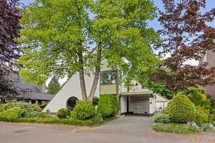 Laarpark 43 in Veghel foto