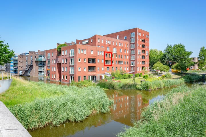 Ladogameerhof 307 in Amsterdam foto