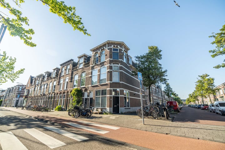 Lage Rijndijk 43A in Leiden