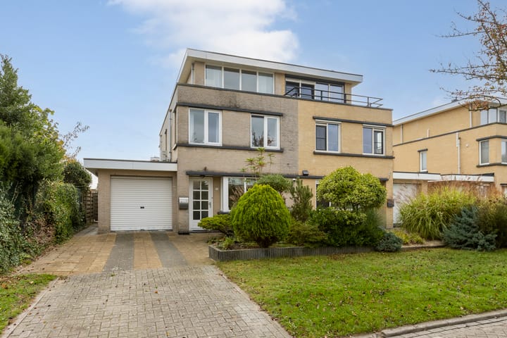 Lamsoor 36 in Bergen op Zoom foto