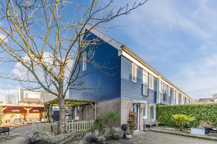 Landleeuw 20 in Hoofddorp foto