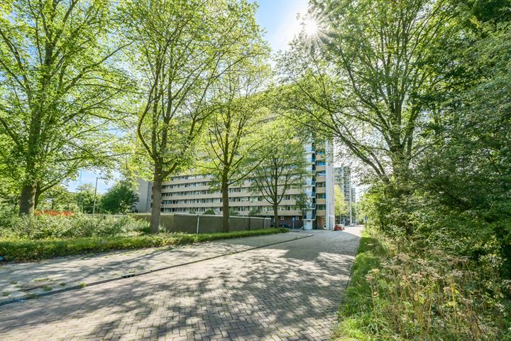 Langswater 370 in Amsterdam foto