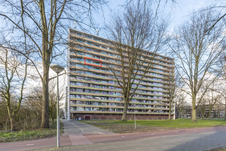 Langswater 82 in Amsterdam foto
