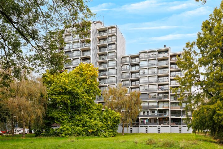 Lankforst 5654 in Nijmegen foto