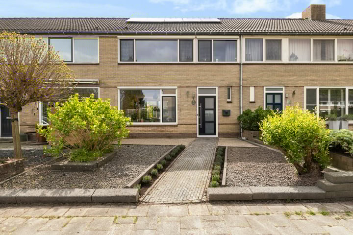 Lautastins 8 in Stiens foto