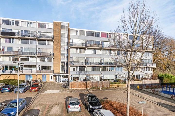 Lauwers 146 in Alphen aan den Rijn foto