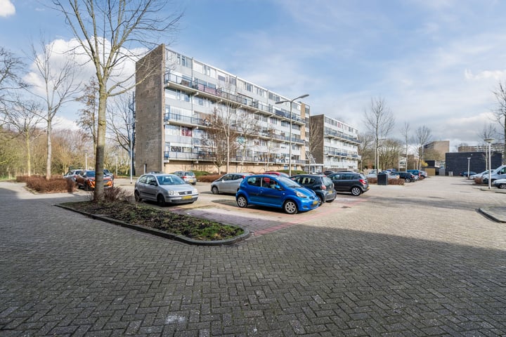 Lauwers 158 in Alphen aan den Rijn foto