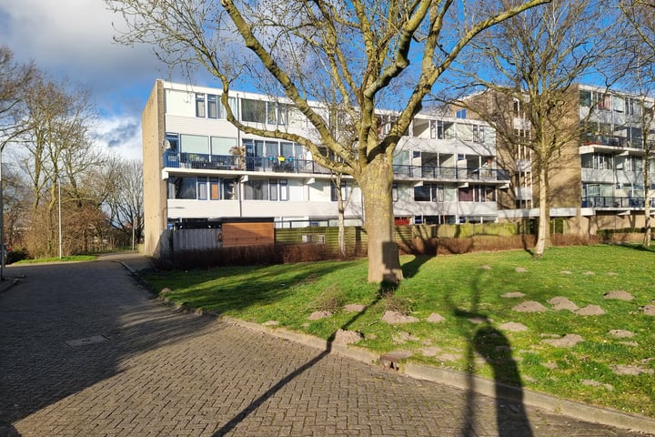 Lauwers 62 in Alphen aan den Rijn foto