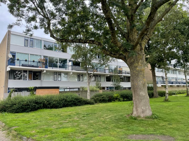 Lauwers 68 in Alphen aan den Rijn foto